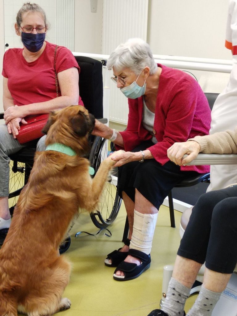 Patiente avec la chien de la médiation animale
